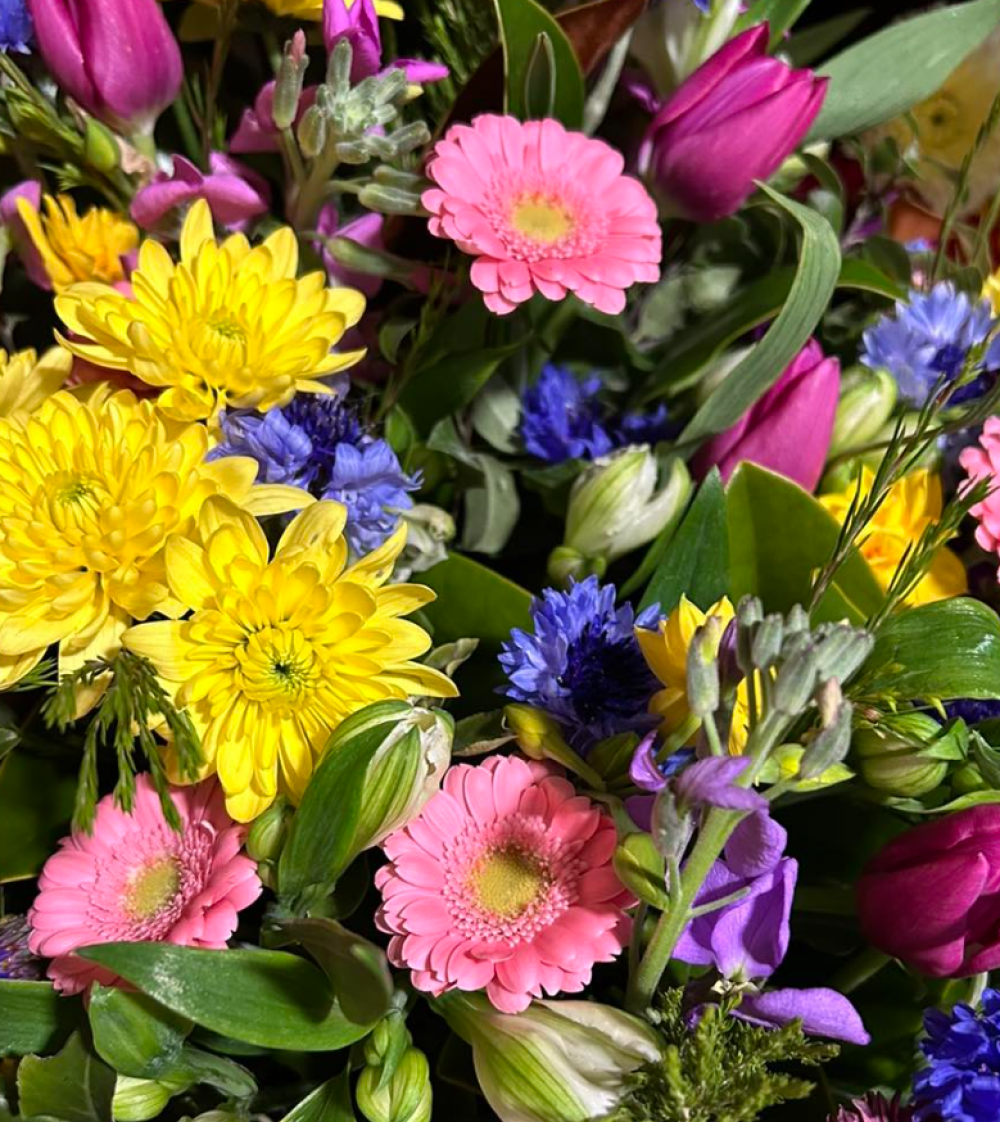 Florist Choice Product Image