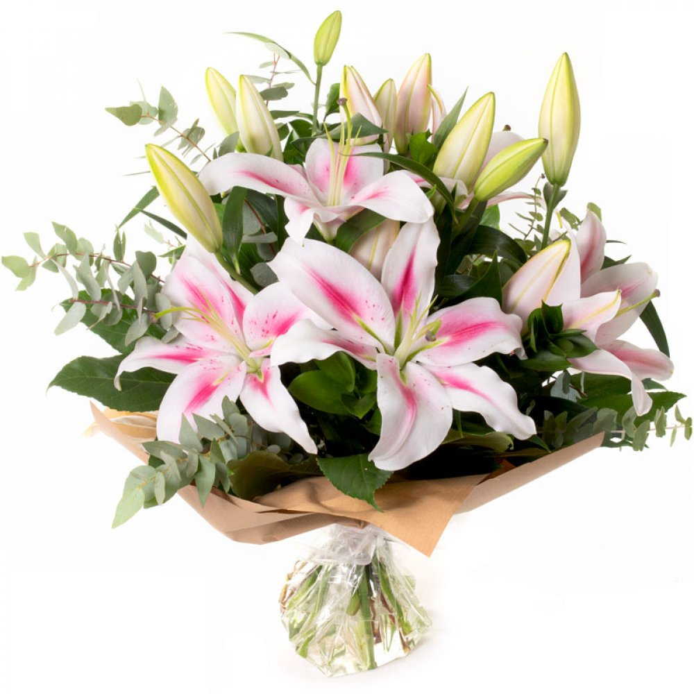 Luxurious Lilies  - white or pink